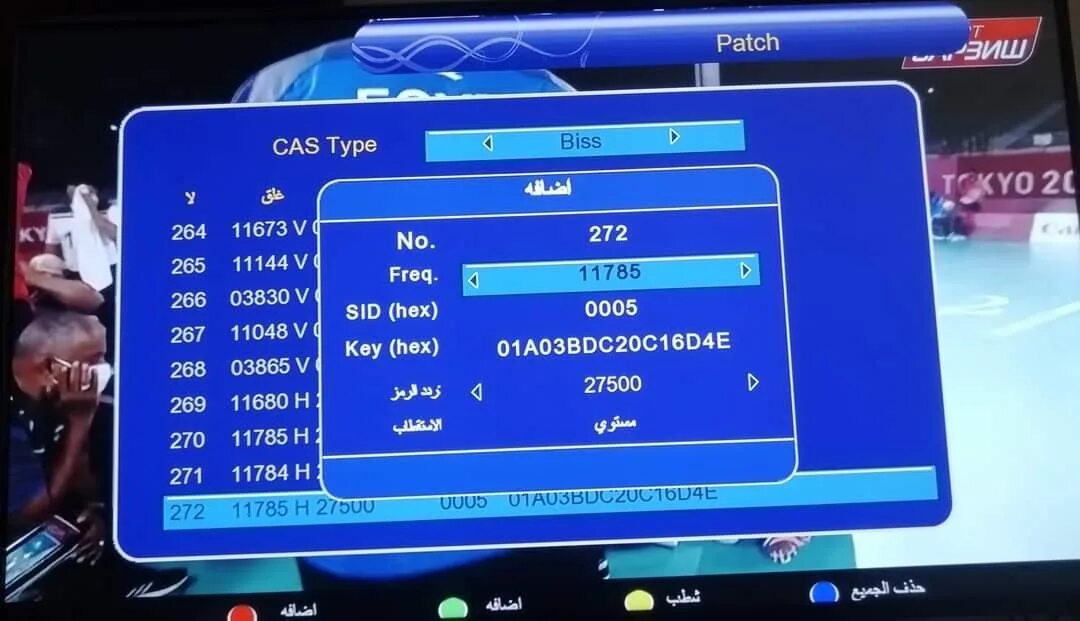 Тч тв