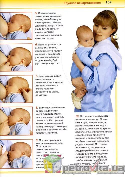 Сколько можно держать грудное. Позы после кормления новорожденного. Как кормить новорожденного. Как держать грудничка после кормления. Положение ребенка после кормления.