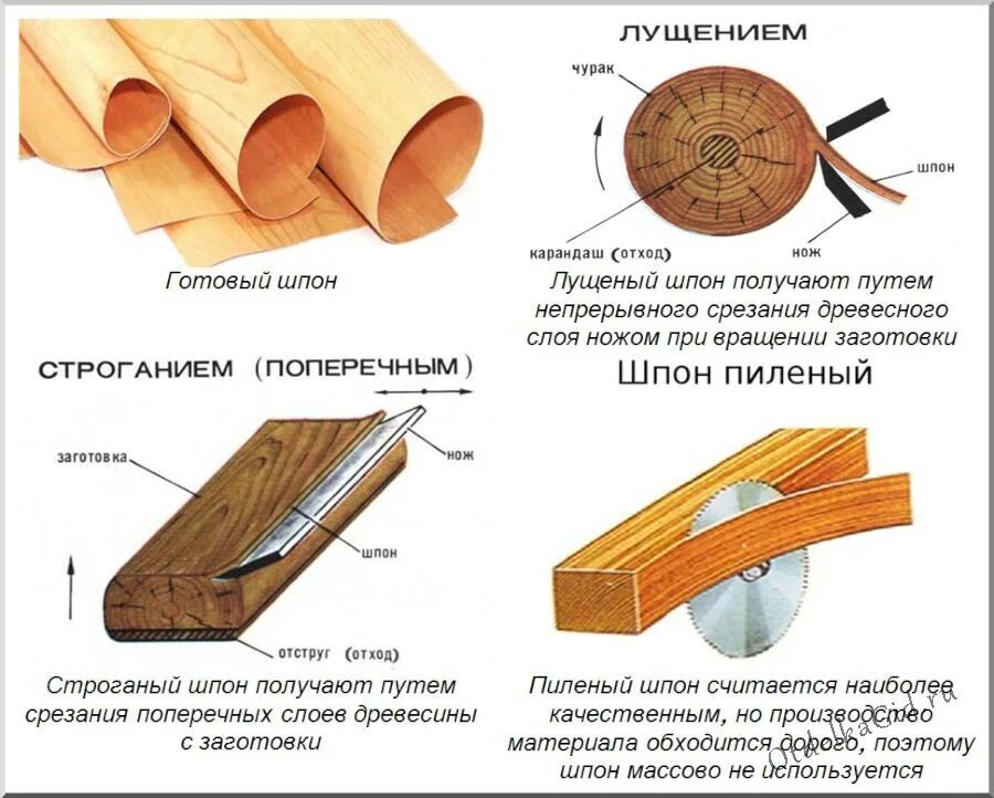 Материалы изготовленные на основе древесины 5 класс. Лущение древесины шпона. шпон лущеный и строганный разница. лущеный шпон производство схема. схема получения строганного шпона.