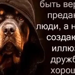 Она предана друзьям