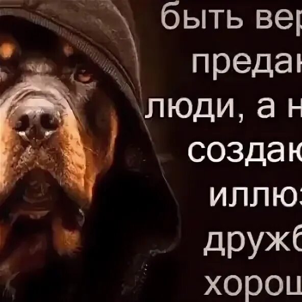 Будь всегда предателем