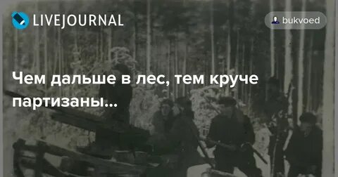 Чем дальше тем лес становился