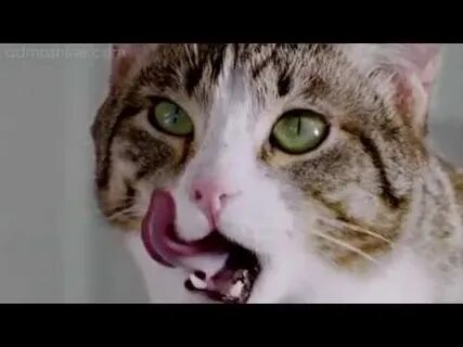 Ммм обожаю