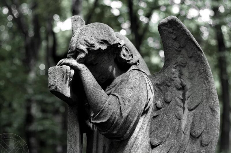 некрополь новодевичьего кладбища. новодевичье кладбище в москве. могильник москве. новодевичье кладбище в москве. братские могилы на преображенском кладбище.