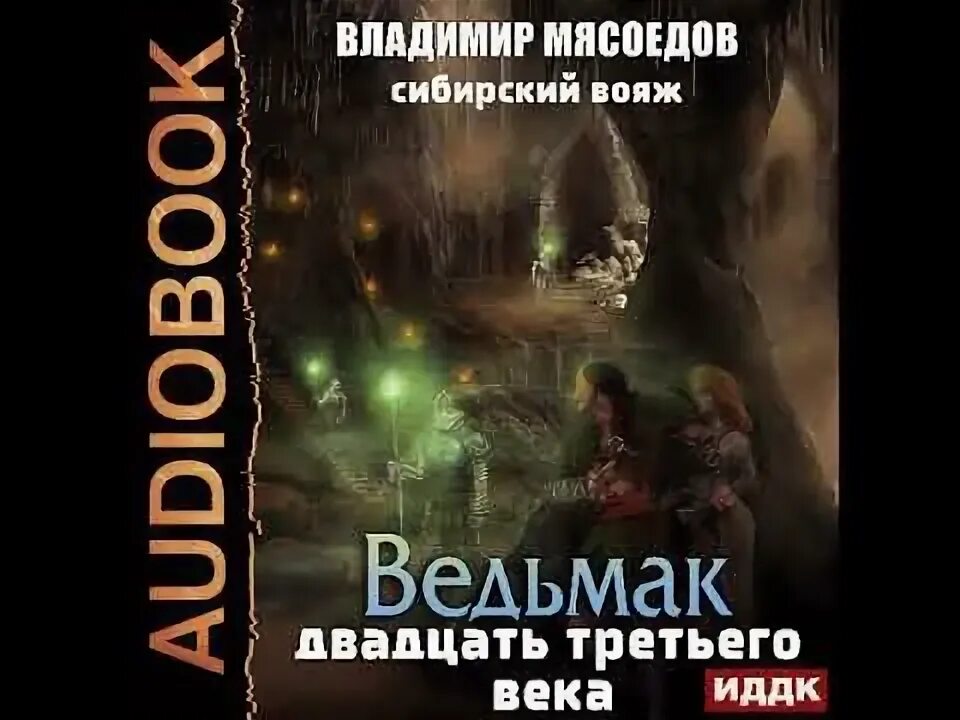 Ведьмак 23 века все книги. Мясоедов ведьмак 23 века. Ведьмак двадцать третьего века. Ведьмак двадцать третьего века. Ведьмак 23 века.