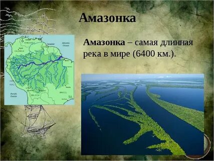 Описание амазонки 7 класс