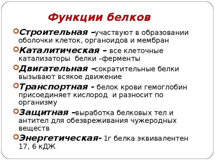 Название функций белка. Функции белков и нуклеиновых кислот. Строение, состав и функции белков и нуклеиновых кислот.. Общие функции нуклеиновых кислот и белков. Функции нуклеиновых кислот.