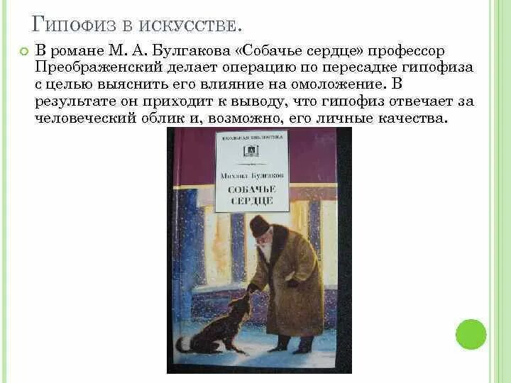 Какие операции проводил преображенский. Гипофиз Собачье сердце. Профессор Преображенский Собачье сердце операция. Гипофиз кого был пересажен Собачье сердце. Пересадить гипофиз Собачье сердце.