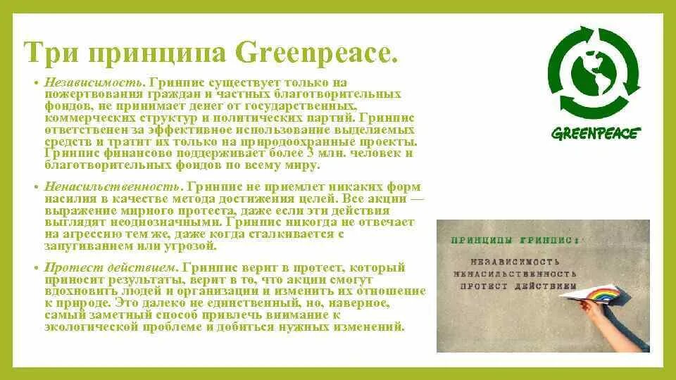 Принципы Гринпис. Принципы организации Гринпис. Гринпис принципы деятельности. Благотворительная организация Гринпис. 3 greenpeace