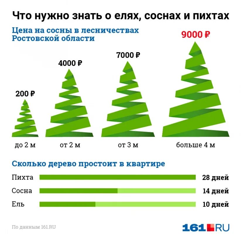 Какие елки после елки новые