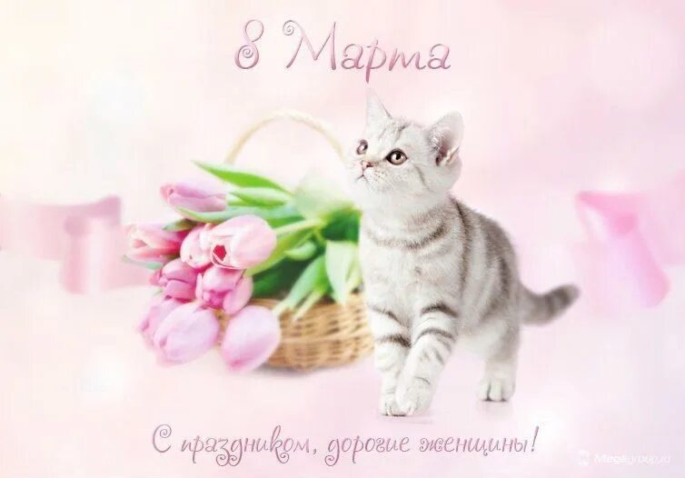 Милые мои с праздником. Милые мои с праздником