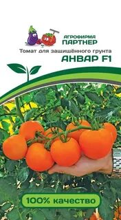 Томат помидор семена партнера