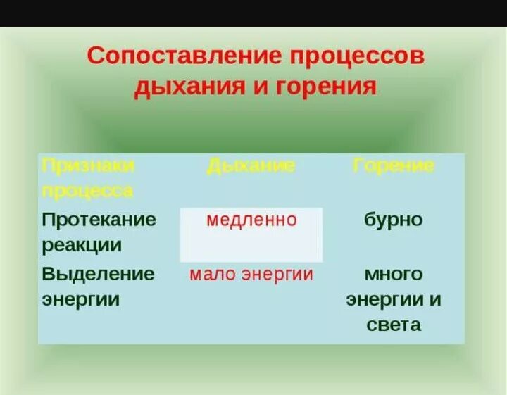 Биологическое горение. Сопоставление процессов дыхания и горения. Сравнение процессов дыхания и горения таблица. Различия в процессах дыхания и горения. Сходства процессов дыхания и горения.