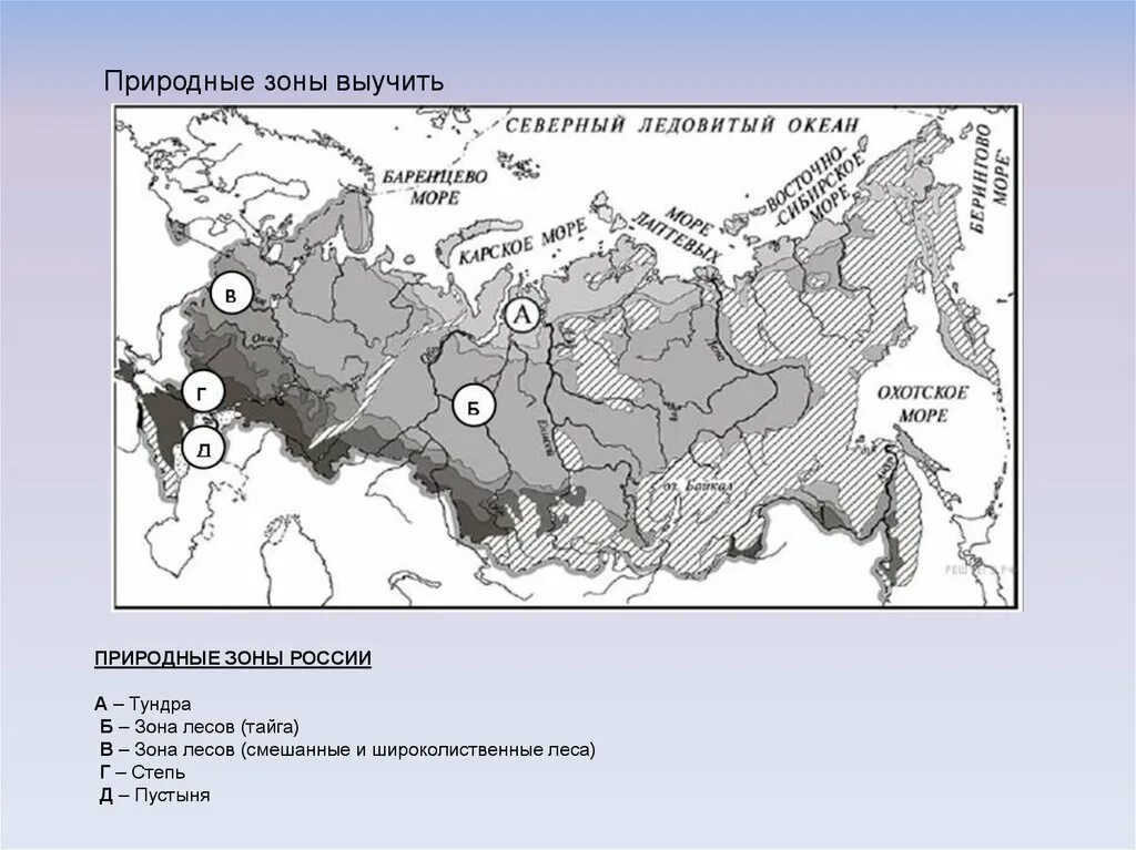 Природные зоны впр 4. Природные зоны России ВПР. Зоны России 4 класс окружающий мир ВПР.