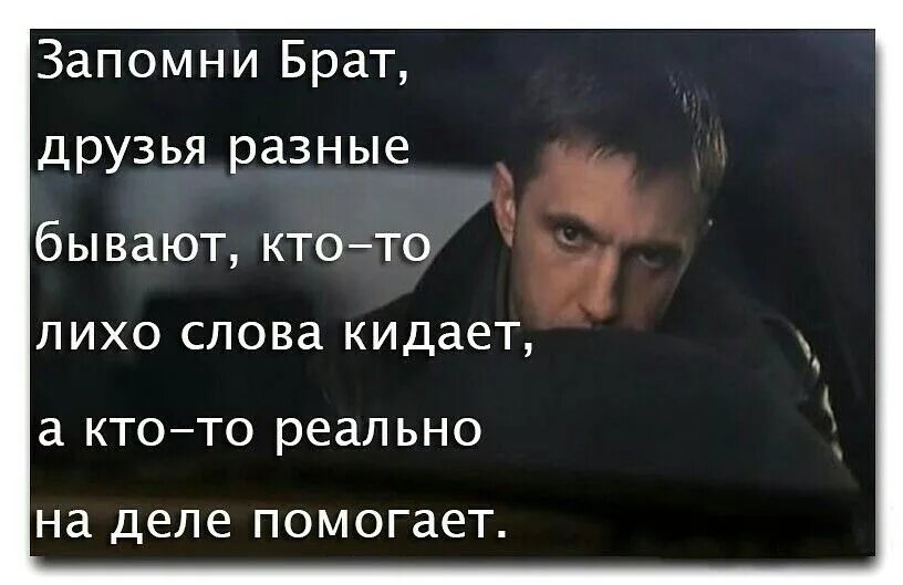 В нем родного он брата узнал. Цитаты про брата. цитаты про брата со смыслом. статусы про брата. цитаты со словом брат.