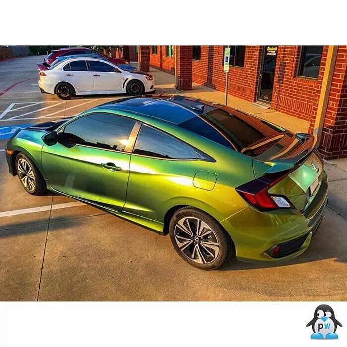 Золотой хамелеон. Honda Civic 5d лаймовый. Avery Dennison хамелеон. Хонда Цивик хамелеон. Хонда Цивик хамелеон цвет.