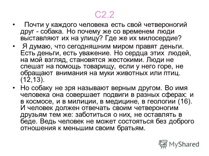 Серега 2005. 3. Футболка для лехи. Сочинение про собаку 5 класс. Серега был настоящим художником.