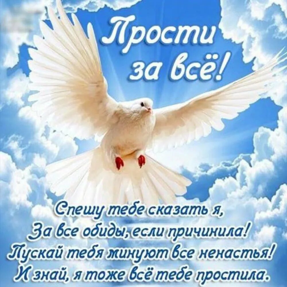 Прошу прощения в день прощенного воскресенья