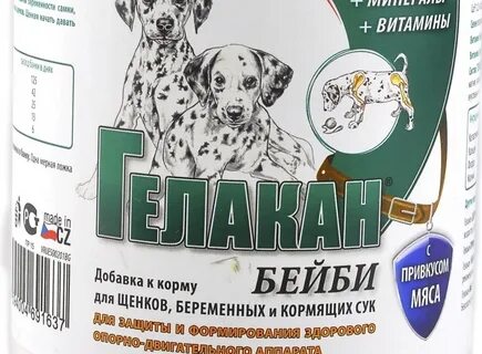 Можно ли взрослой собаке корм для щенков