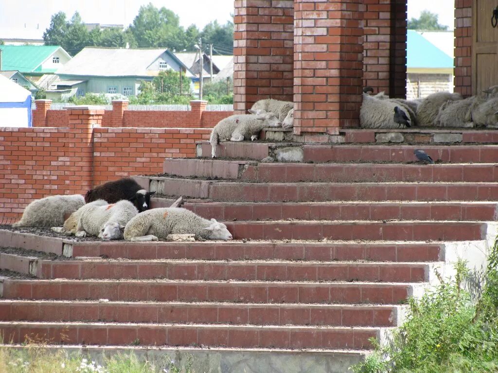 Погода балтачево. Село Балтачево Башкортостан. Старобалтачево достопримечательности. Старобалтачево дворец культуры. РДК Старобалтачево.