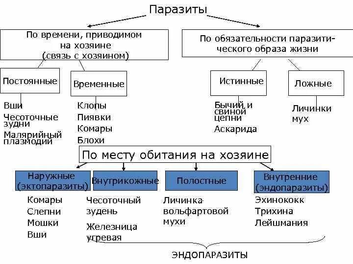 Паразитические организмы группа