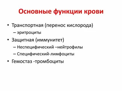 Транспортная защитная функция
