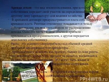Аренды земли крестьянского фермерского хозяйства