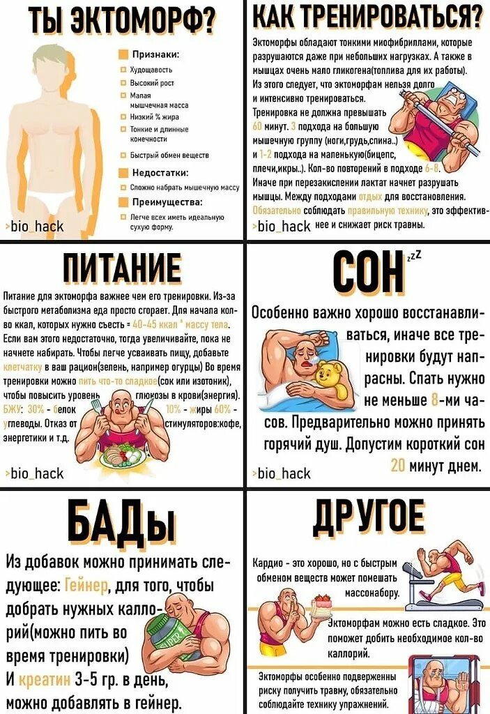 Том что ему нужно побыстрее. План тренировок для эктоморфа. План питания для набора мышечной массы для эктоморфа. Тренировка для набора ма. Тренировки для набора массы эктоморфу.