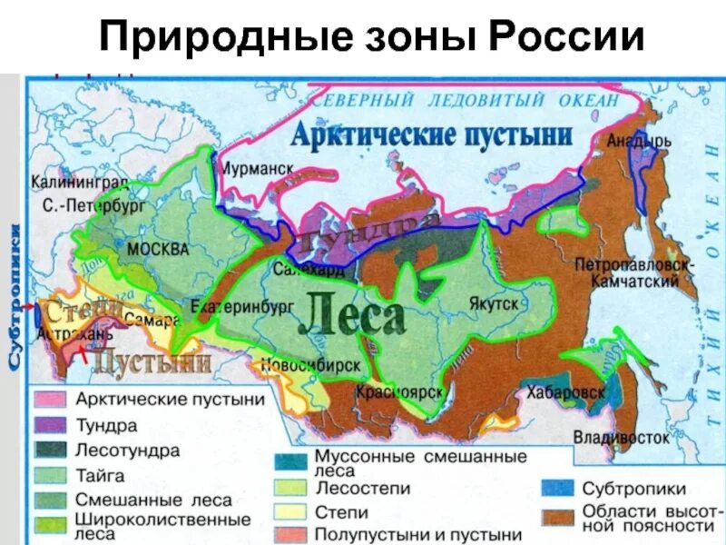 Распространение смешанных лесов