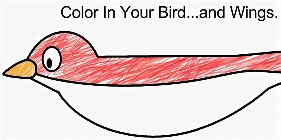 Your bird