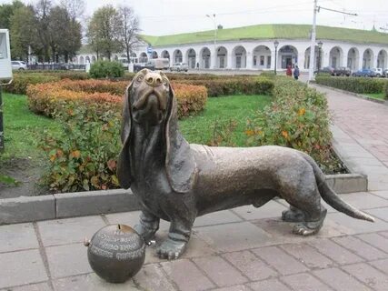 Собака кострома