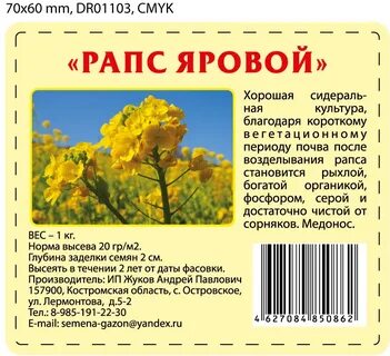 Озимый рапс когда сеять