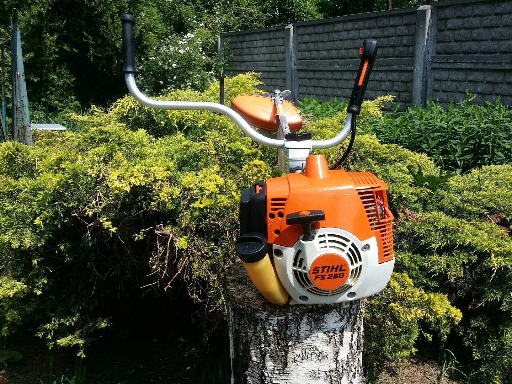 Штиль 250 коса. Бензокоса stihl fs 250. Карбюратор stihl fs 250. Триммер stihl fs 250. Мотокоса stihl fs 120.