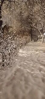 Снег кружит кружится летает летает