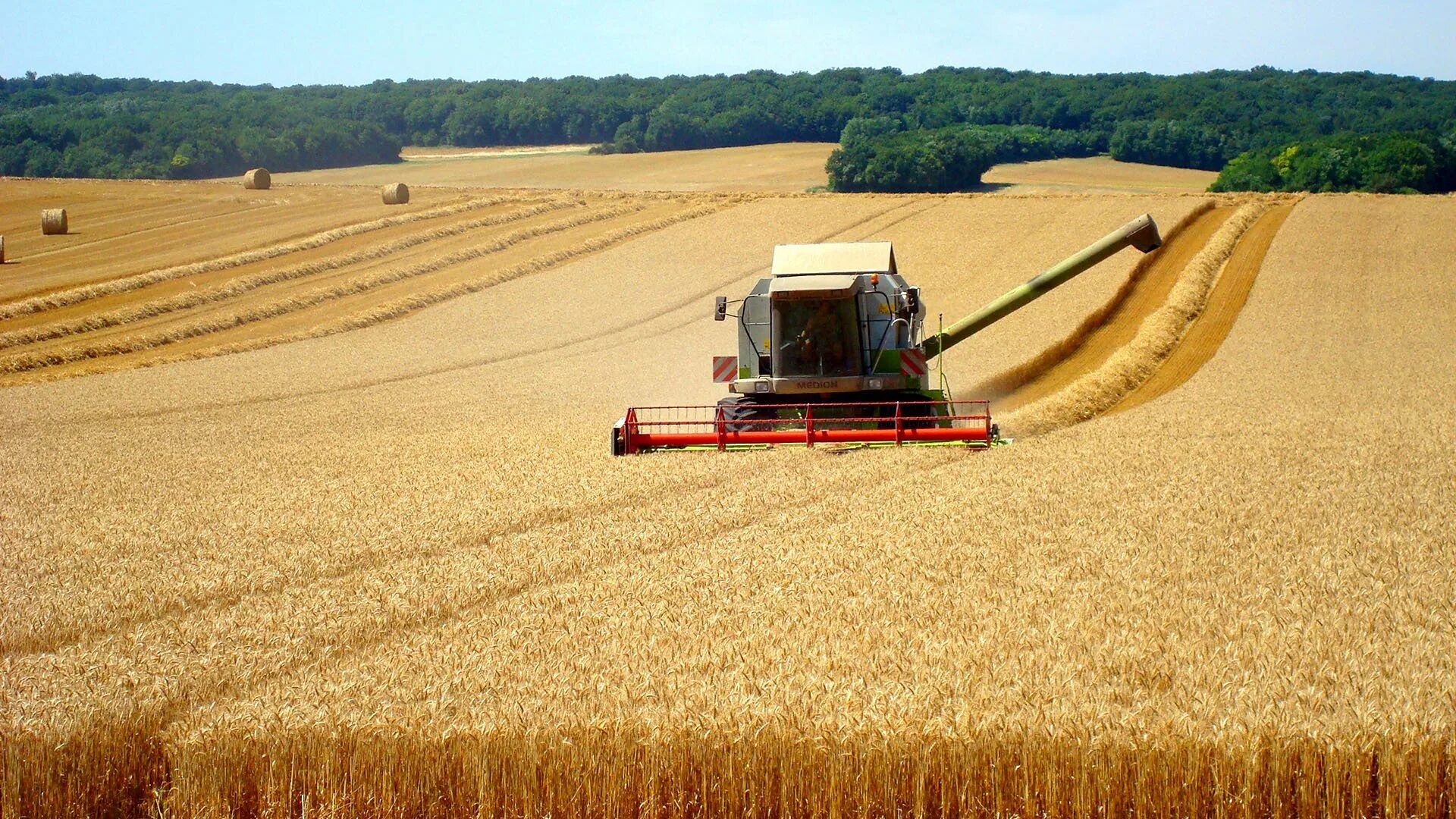 комбайн в поле. комбайн harvest. поле пшеницы комбайн. ржаное поле при совместной работе двух комбайнов. ржаное поле при совместной работе двух комбайнов.