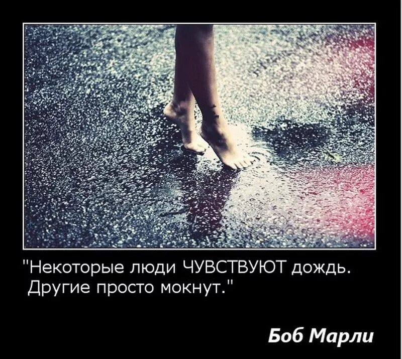Дождь цитаты. Высказывания про дождь. фразы про дождь. статусы про дождь. фразы о дожде красивые.