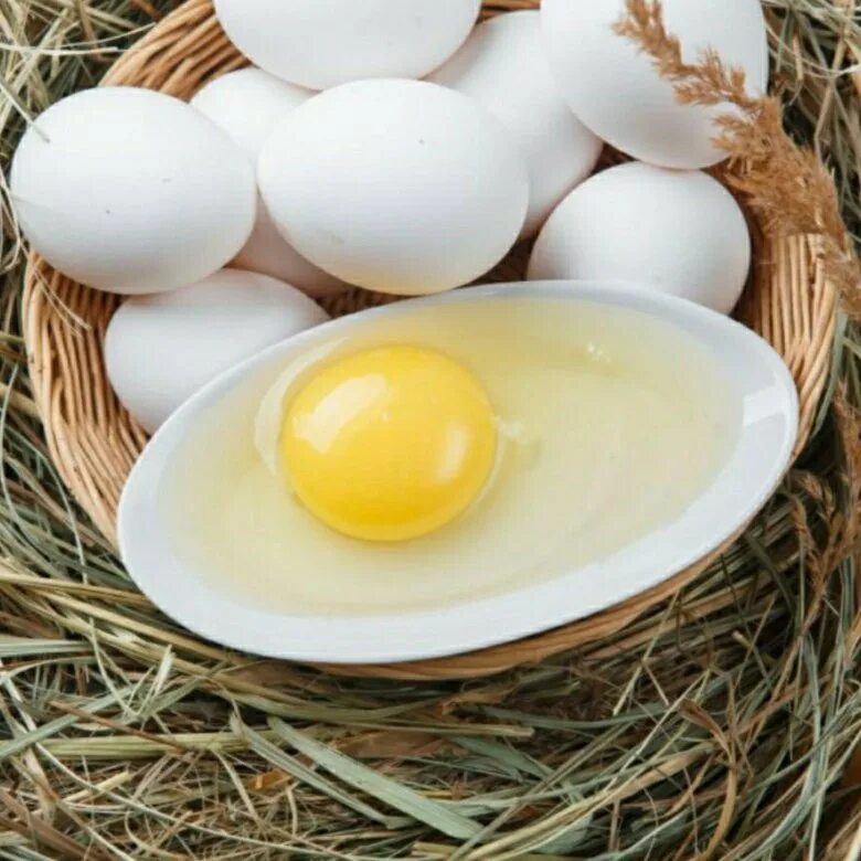 Какие должны быть домашние яйца. Яйцо куриное. Яйцо куриное белое. Домашние яйца. Яйцо домашнее куриное белое.