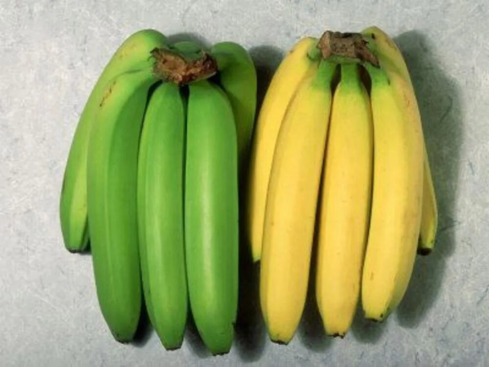 Какие бананы полезнее зеленые или. Неспелый банан. Зеленые бананы. Зеленые и желтые бананы. Зеленый незрелый банан.