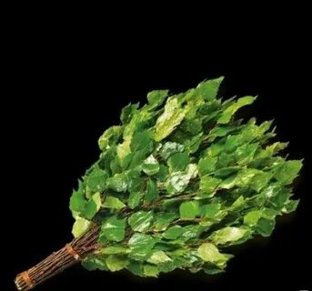 Куфар веники