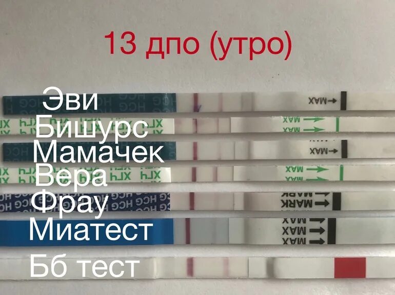 13 ДПО тест отрицательный. Тест на беременность после овуляции. Тест на беременность ДПО. 13 ДПО тест на беременность. Заболела после овуляции