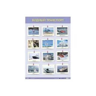 Виды большого водного транспорта