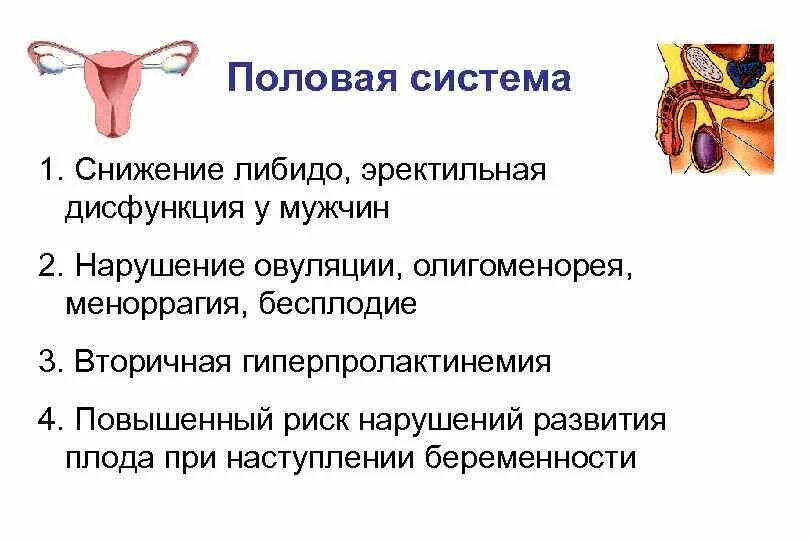 4 женская половая железа. Половые железы. Функции половых желёз. Нарушение работы половых желез.