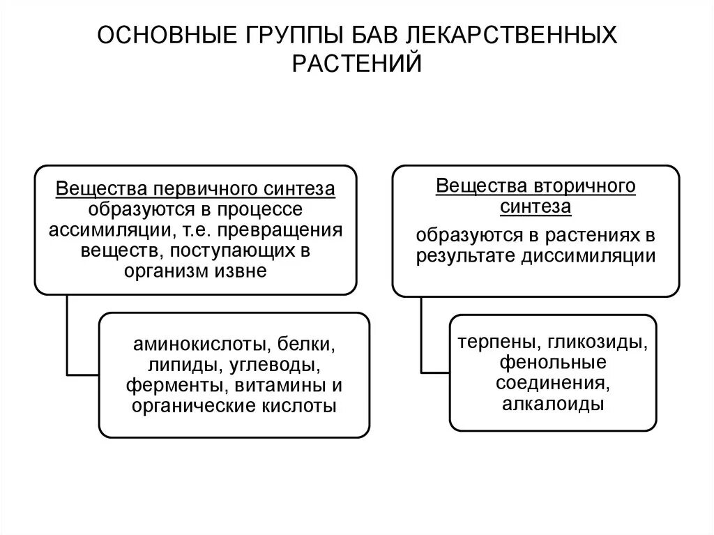 Основные группы бав. Основные группы биологически активных соединений ЛР. Главная группа БАВ. БАВ большой автомобиль водоплавающий.