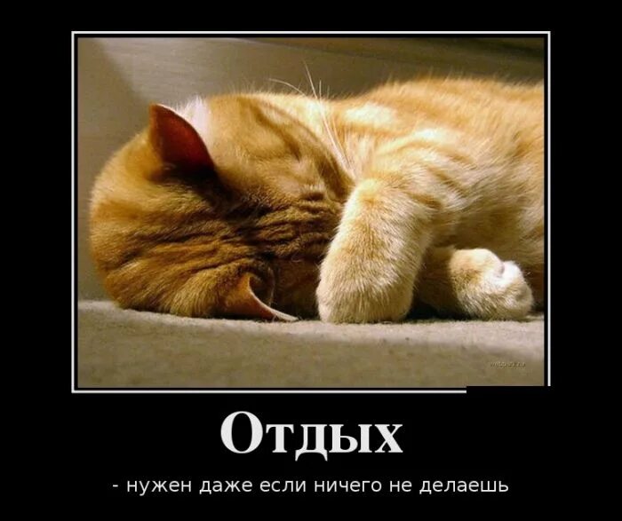 Отдохнула нужно работать. Отдохнула нужно работать. Смешные цитаты с картинками правда жизни. Прикольная открытка ко собирается отдыхать. Надо отдохнуть картинки.