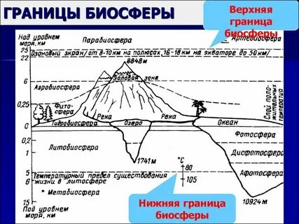 Границы нижнего закрыты