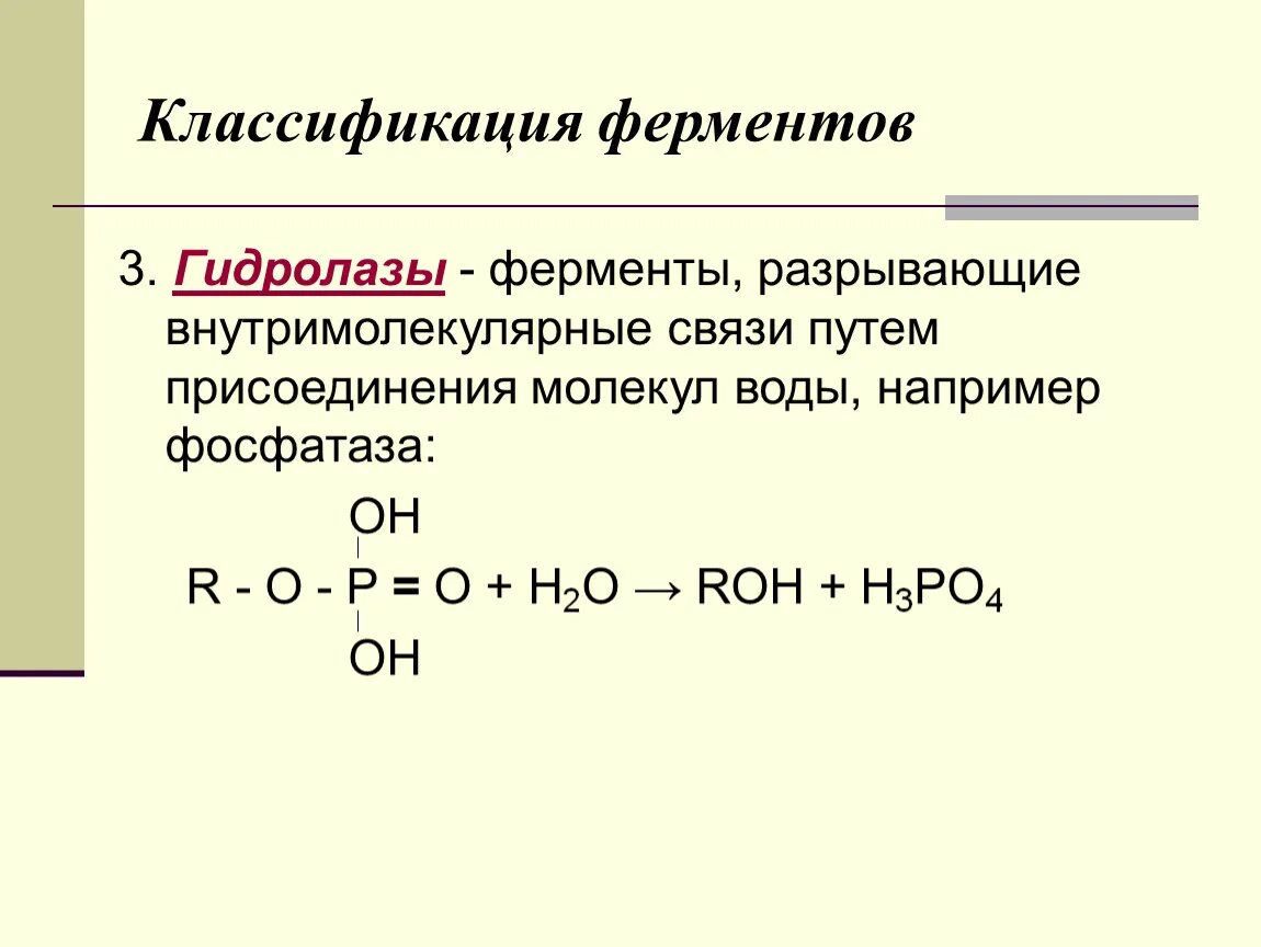Гидролазы ферменты. Классификация ферментов гидролазы. Гидролазы примеры реакций. Ферменты класса гидролаз примеры реакций. Класс гидролаз