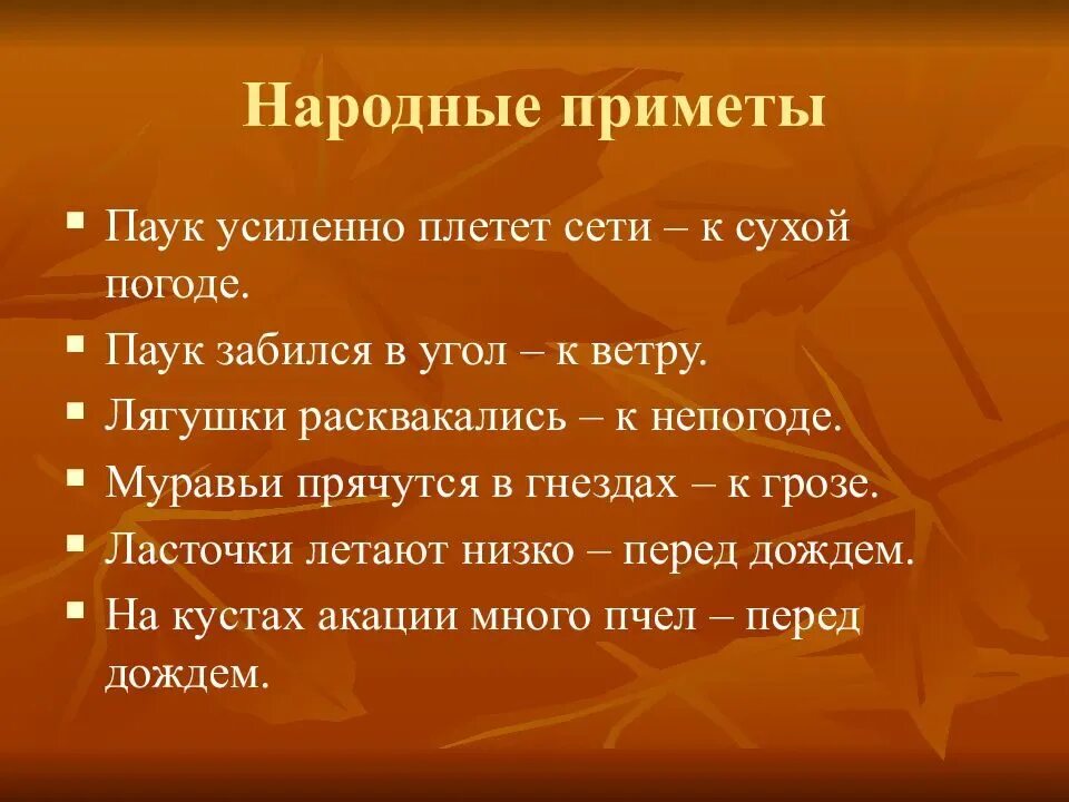 Паук на улице примета. Пауки народные приметы. паук примета. приметы на погоду. народные приметы о погоде.