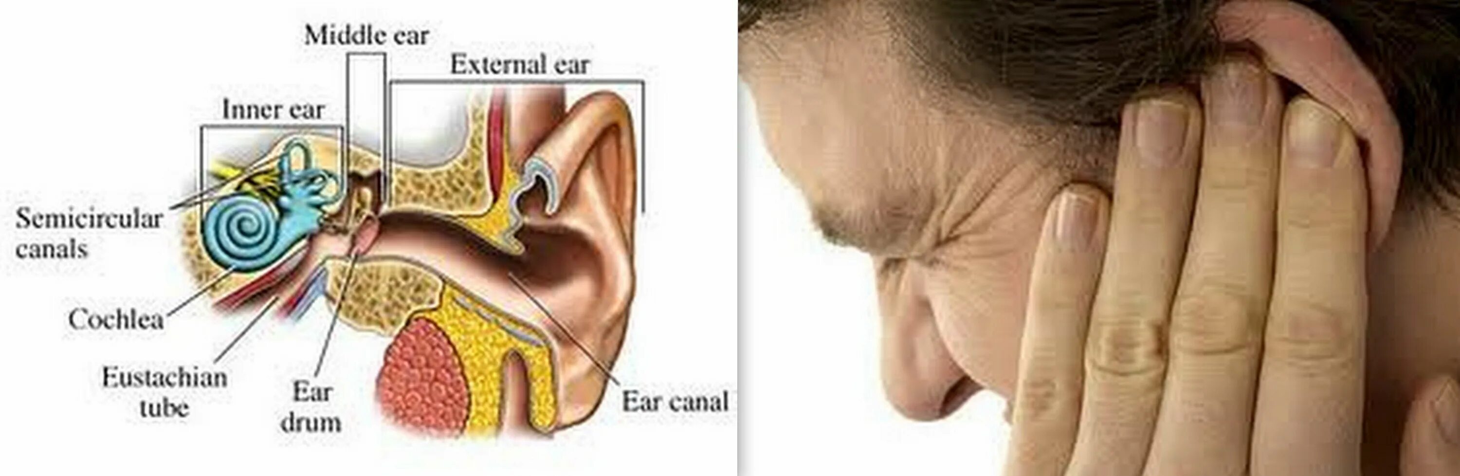 Что делать если сильно болит ухо внутри