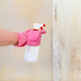 А также составы для обработки