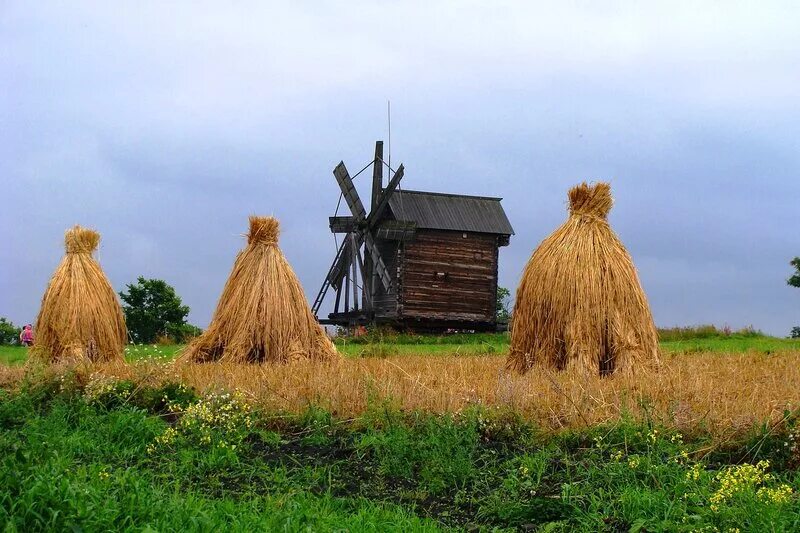 Качества жизни в деревнях. Скирда сноп. Сельская местность снопа Ненецкий автономный округ. Снопы сена на поле. Стог сена в деревне.